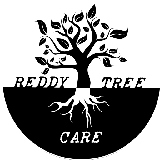 reddy tree logo